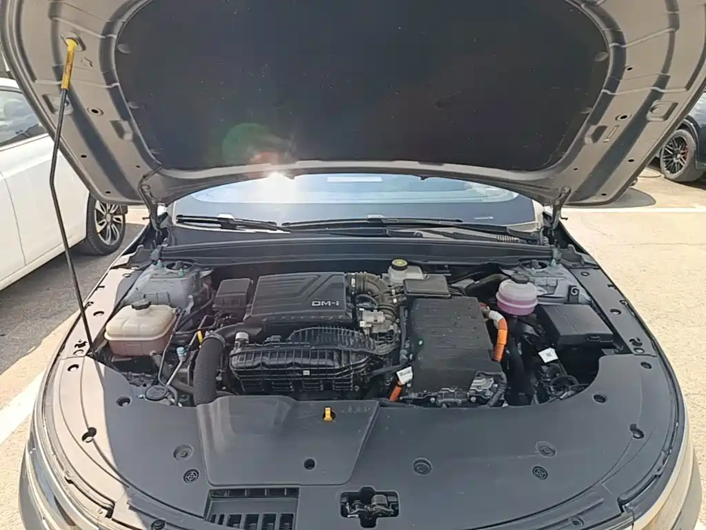 BYD Destroyer 05 2025 2024 Glory Edition DM-i 55KM Luxury
