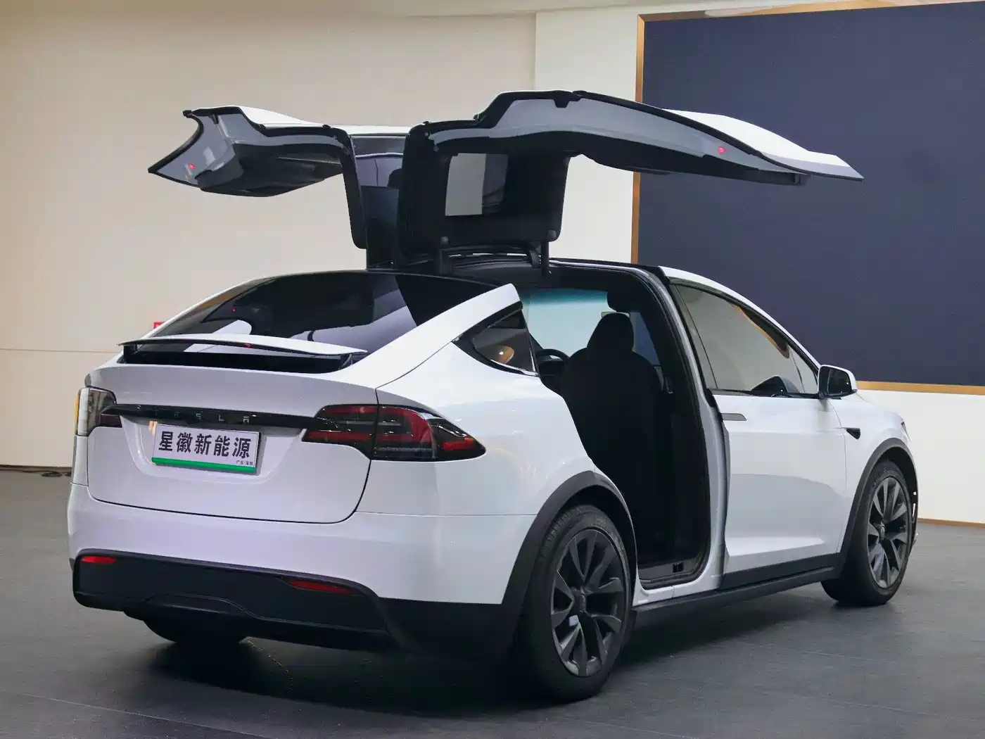 Tesla Model X 2023 2023 Dual Motor All-Wheel Drive Edition