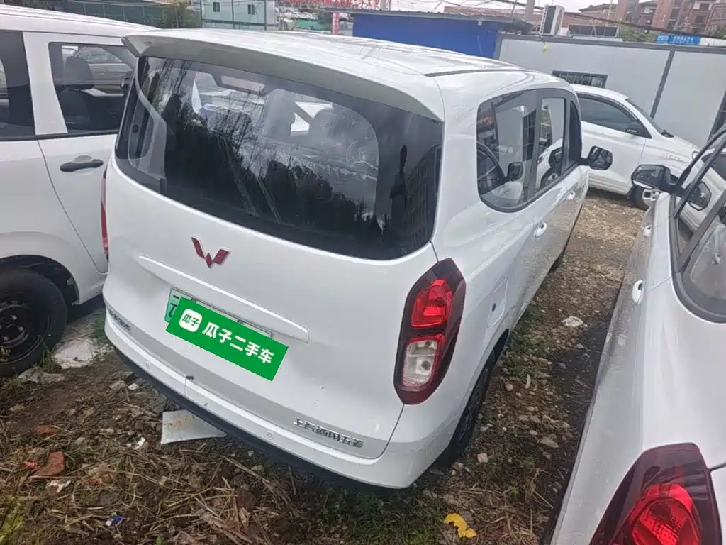 Фото 7 - Wuling Motors Wuling Hongguang New Energy