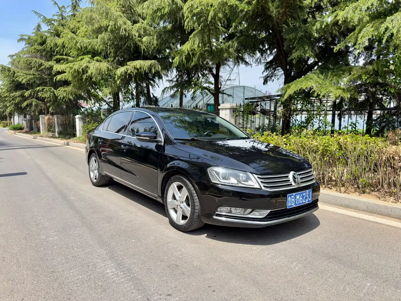 Volkswagen Magotan 2013 1.8TSI Luxury фото 6
