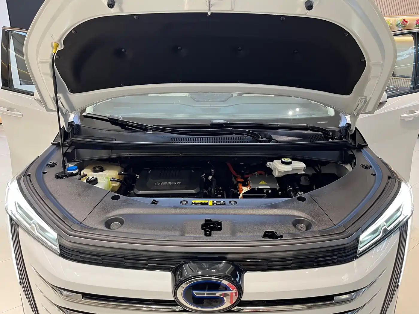 GAC Trumpchi Trumpchi E9 2023 E9 MAX фото 28