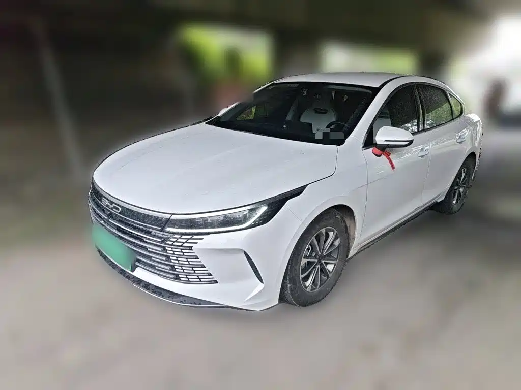 Фото 2 - BYD Qin PLUS
