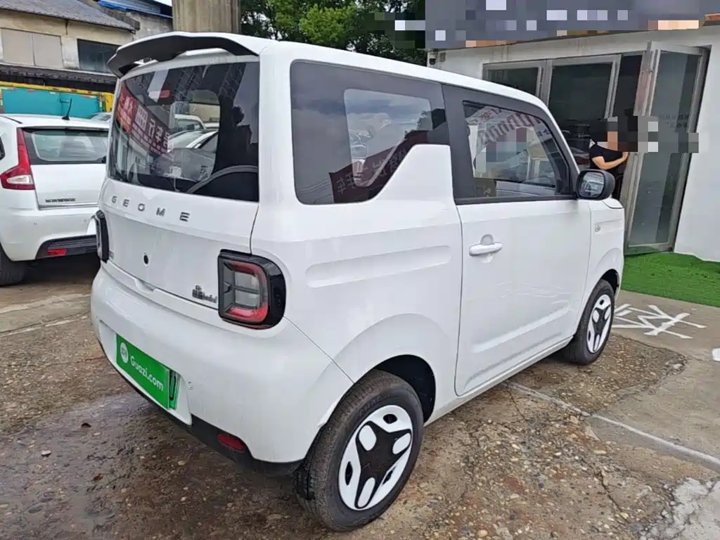 Geely Galaxy Panda 2026 2025 Panda mini 210km Vitality Bear