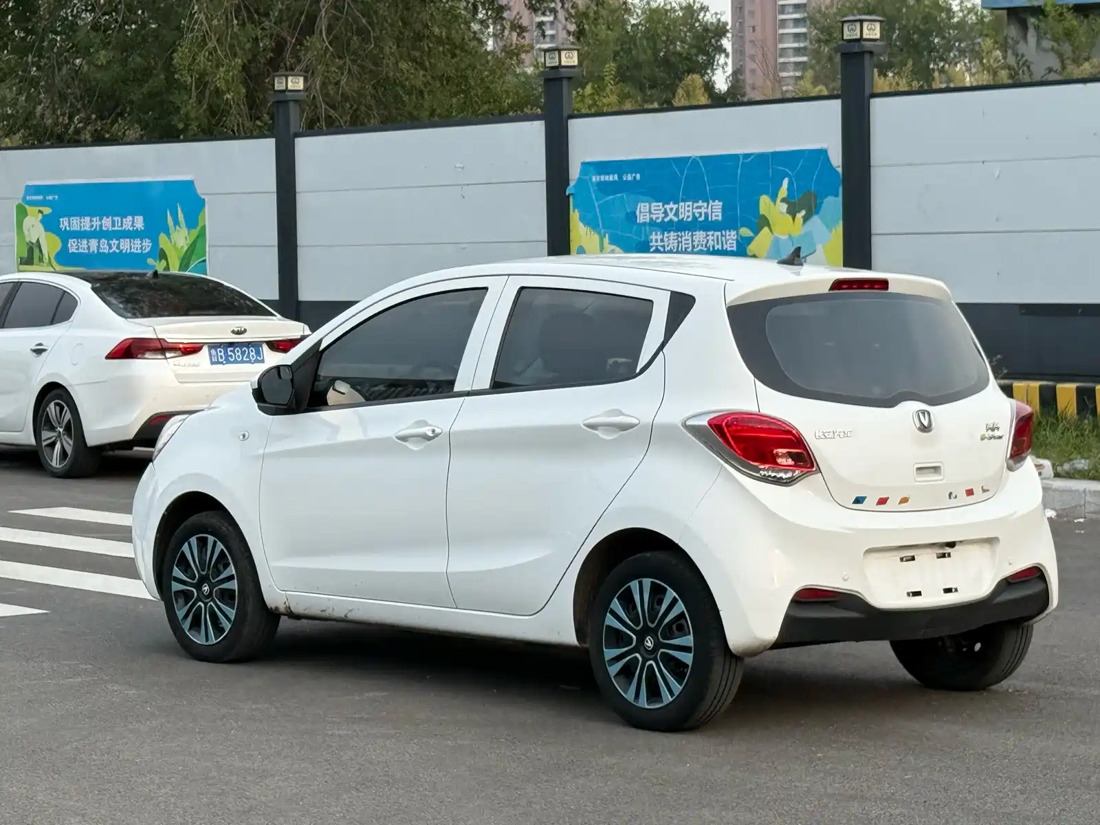 Фото 6 - Changan Benben E-Star