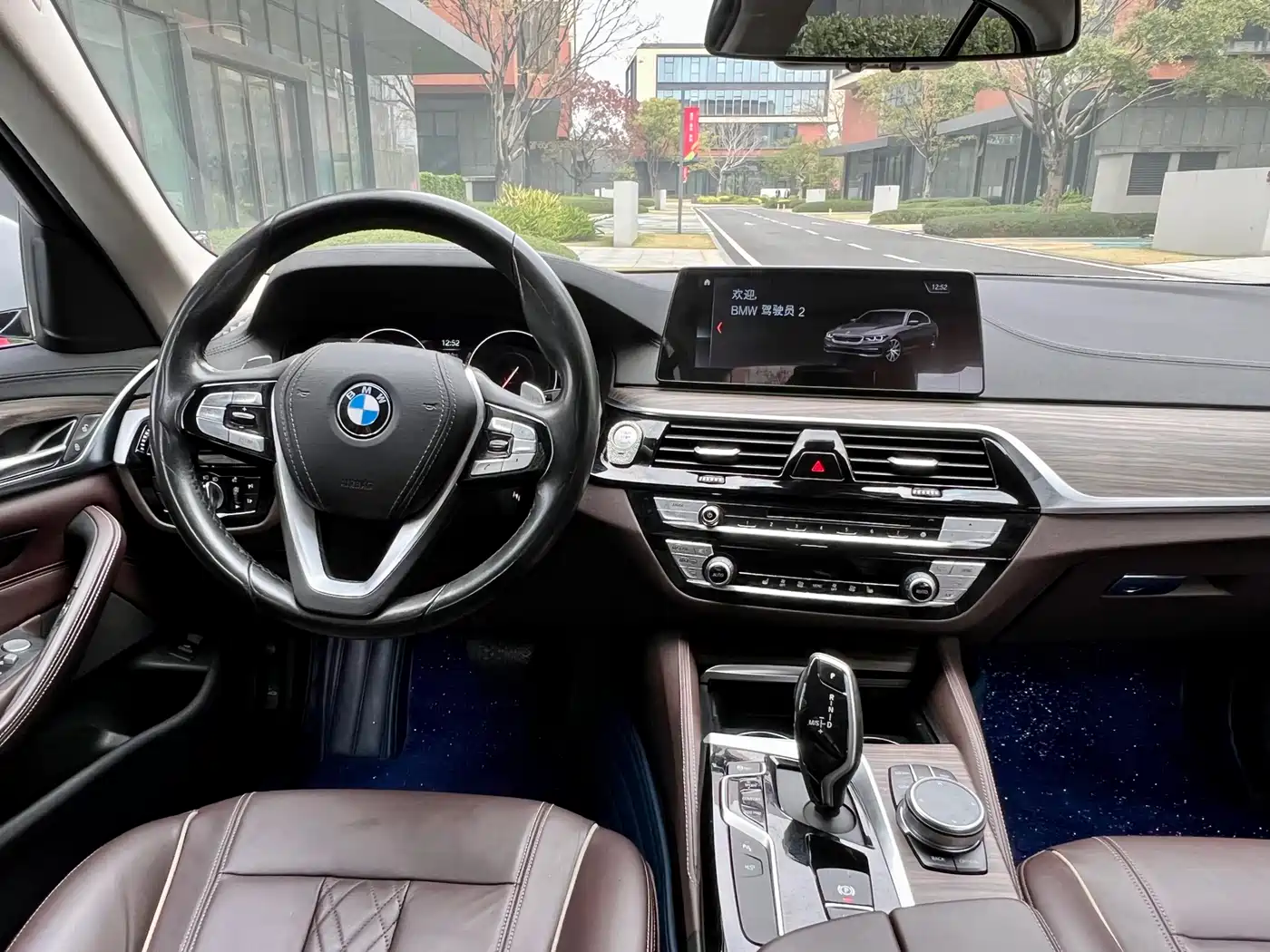 BMW 5 Series 2019 530Li Leading Luxury Package фото 9