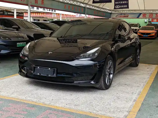 Tesla Model 3 2021