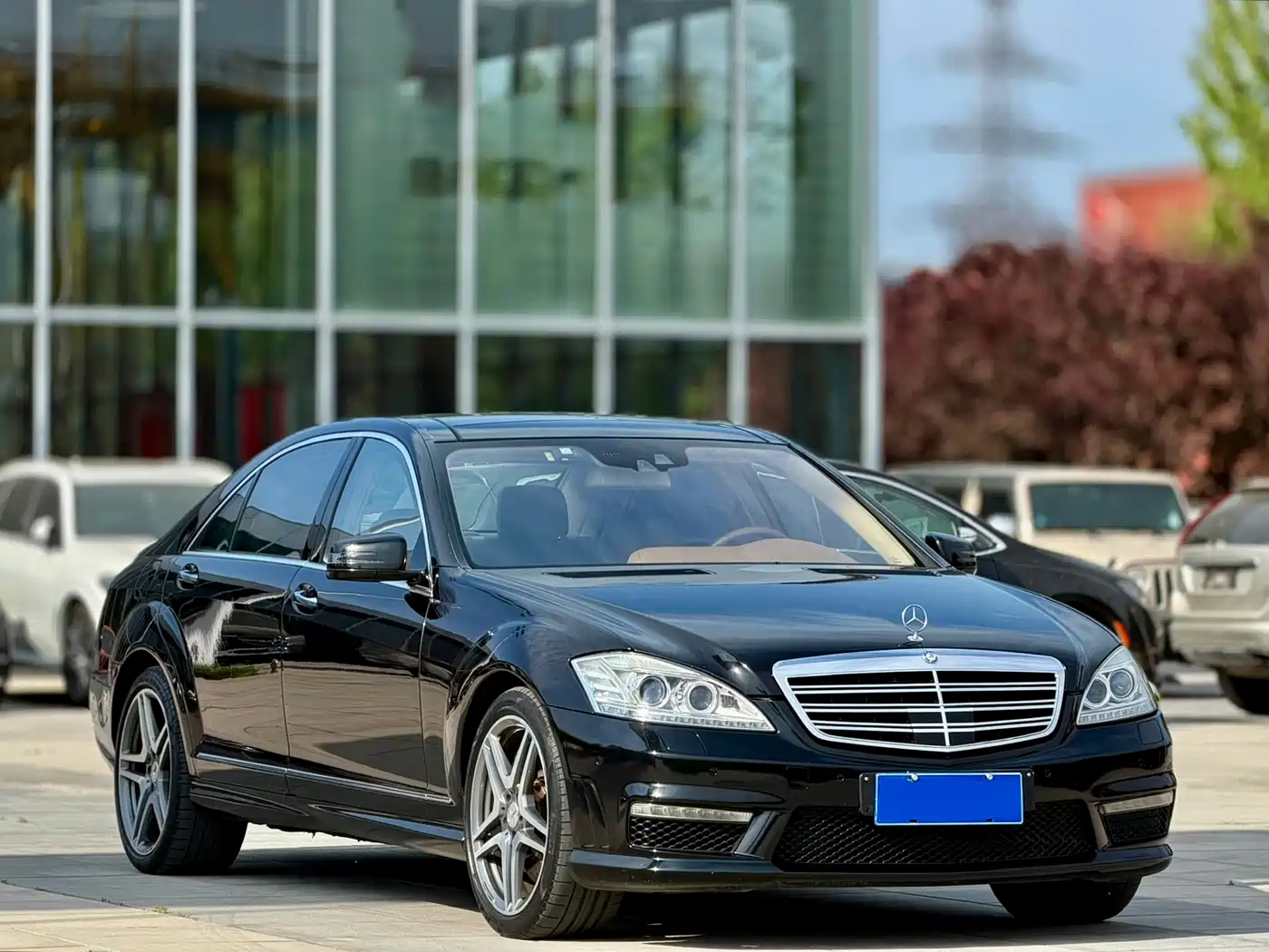 Mercedes-Benz S-Class AMG 2010 AMG S 65 фото 3