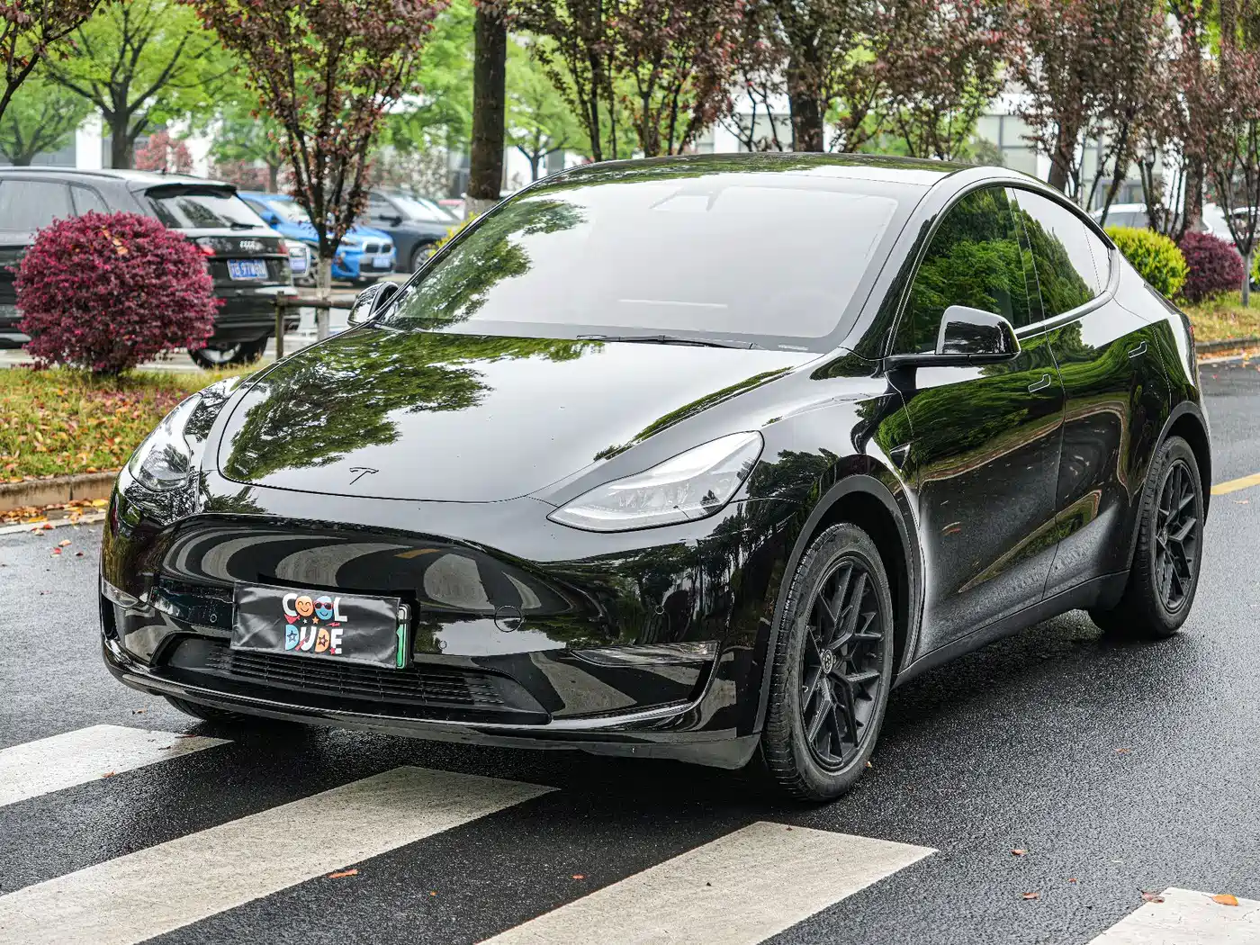TESLA MODEL Y