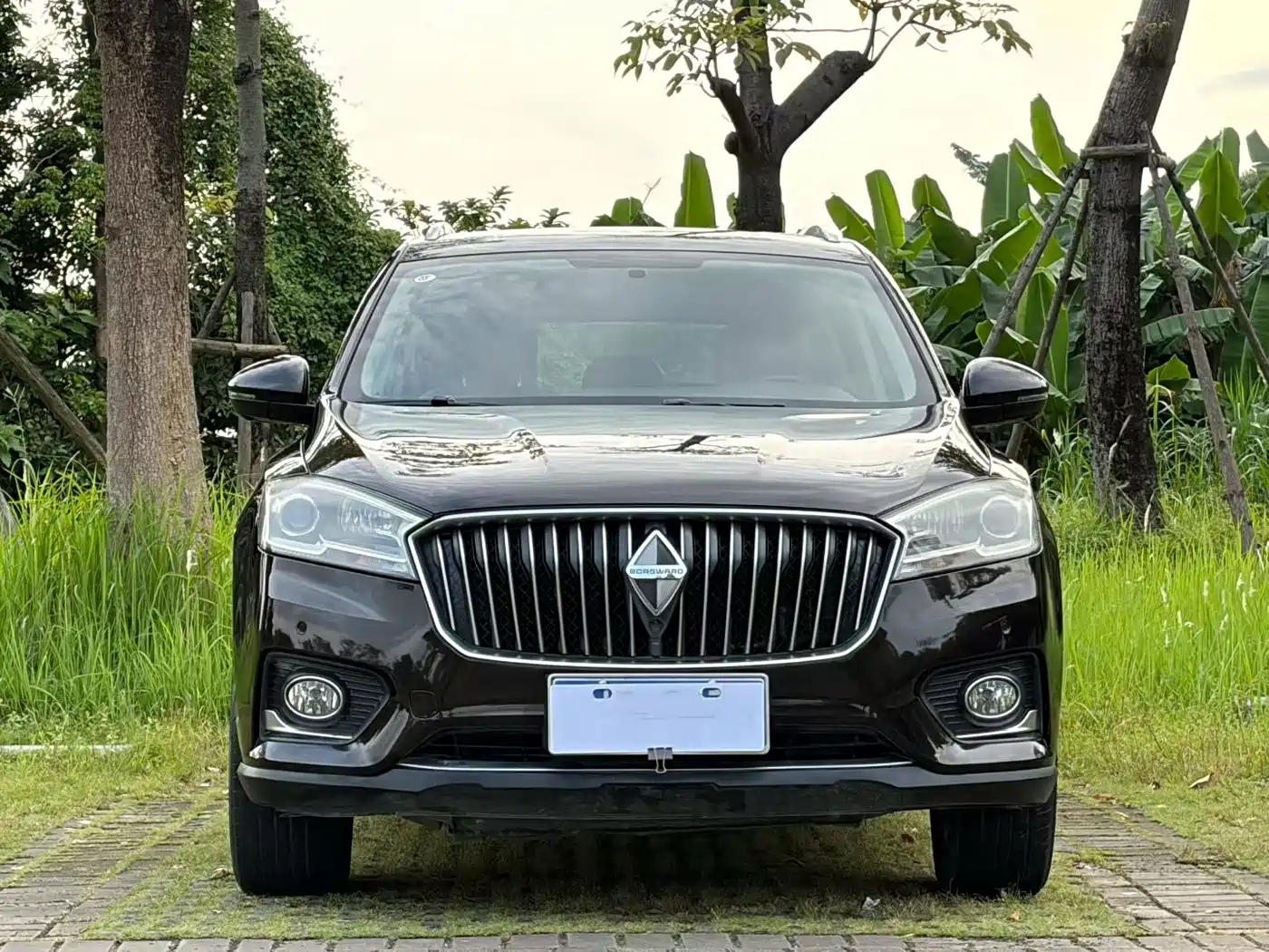 Borgward BX7 2019 2018 28T 2WD Premium 5-Seater China VI