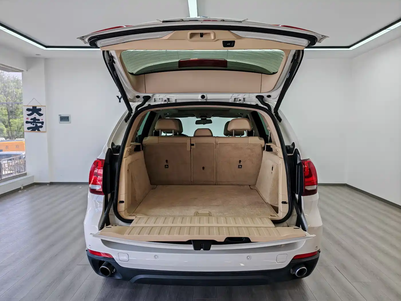 BMW X5 (Import) 2014 xDrive35i Elegance фото 8