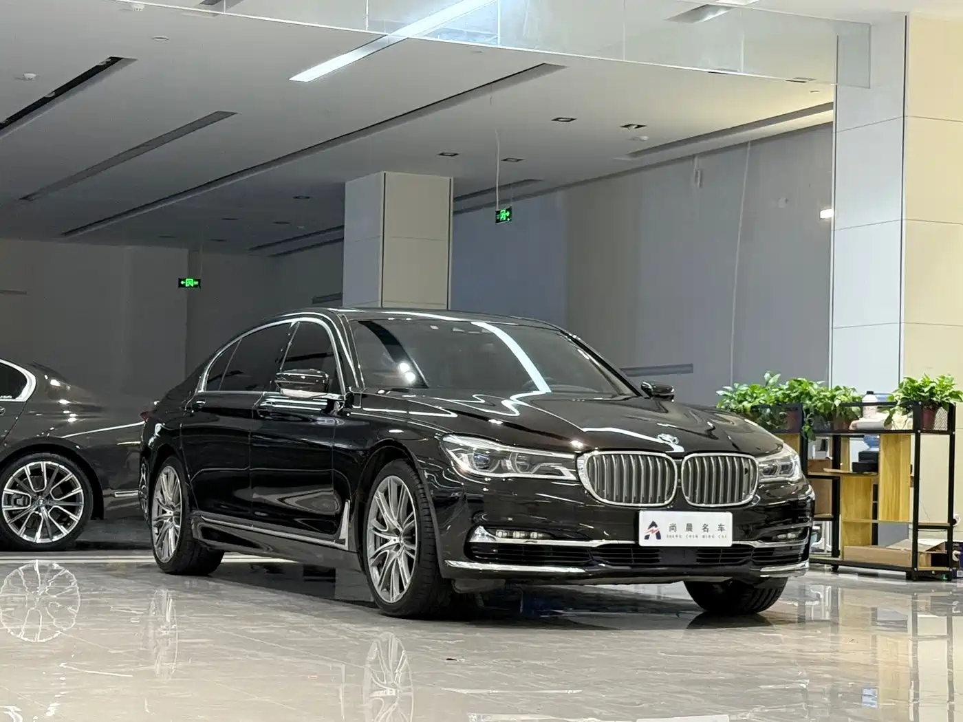 BMW 7 Series 2017 750Li xDrive Customized Edition (4-Seater) фото 3