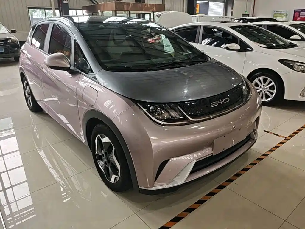 Фото 4 - BYD Dolphin
