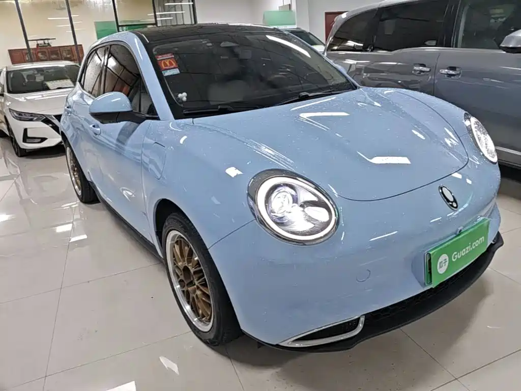 Ora Good Cat 2024 2023 401km Standard Range Luxury LFP