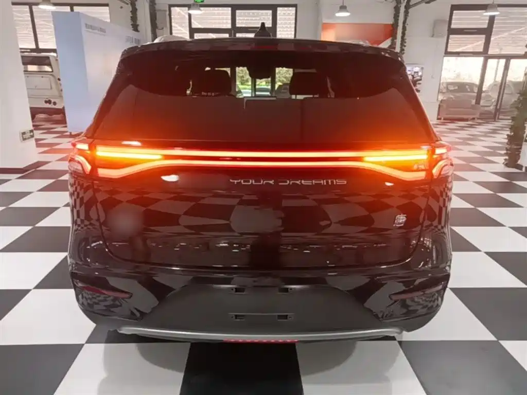 BYD Tang New Energy 2023 Model DM-i Champion Edition 112KM Honor фото 6