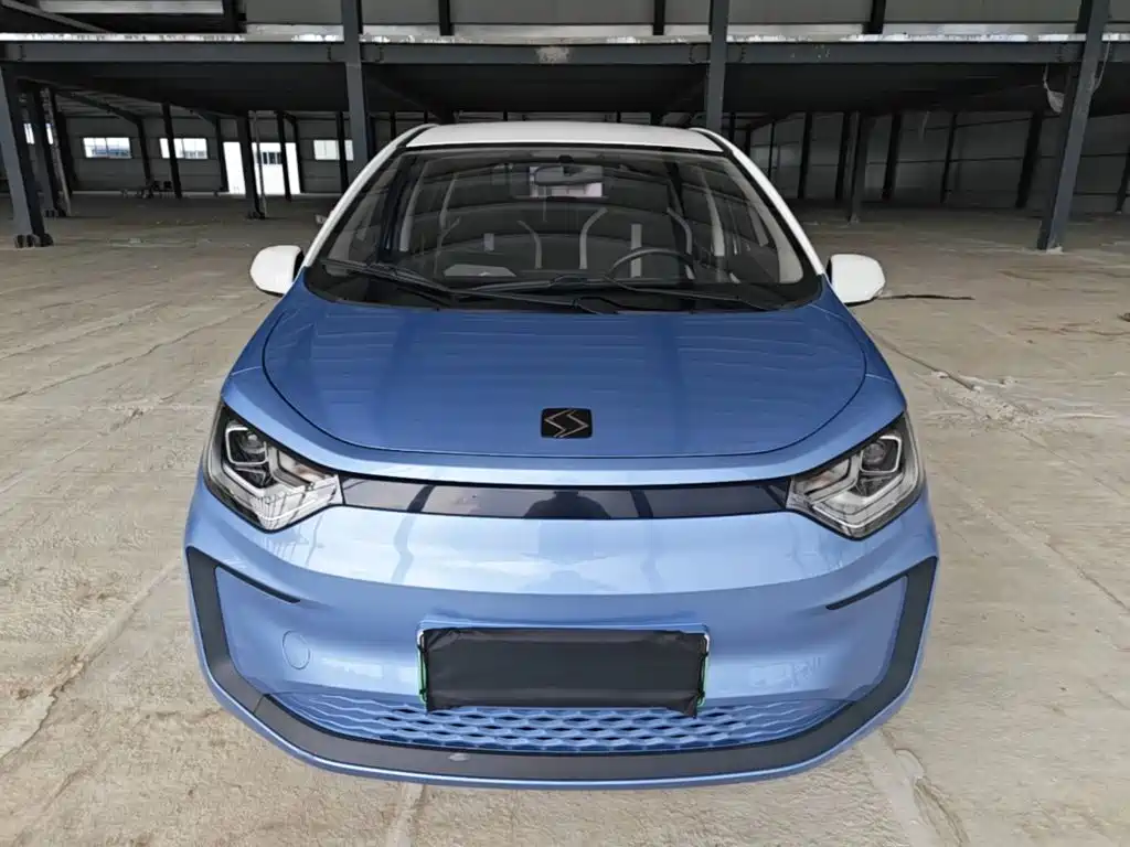 Sehol Flower Fairy 2021 2021 302km Luxury Edition 31.4kWh