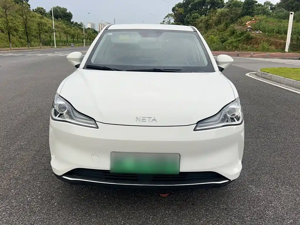 Nezha Auto Nezha V 2022 2022 Tide 300 Lite Ternary Lithium