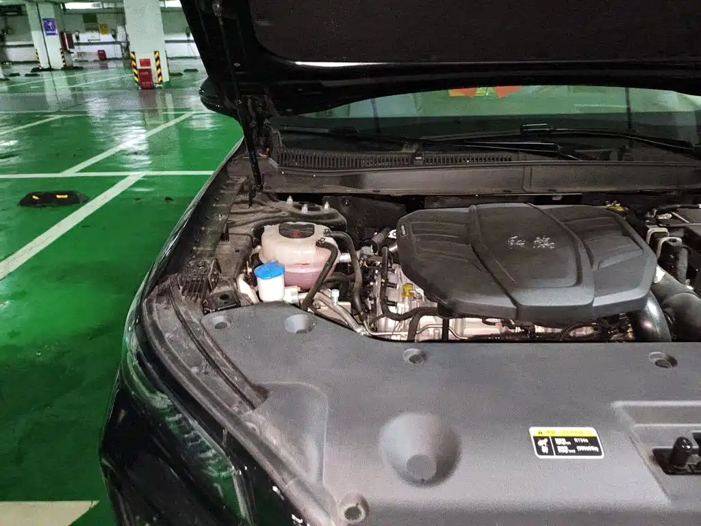 Фото 22 - Hongqi HS5
