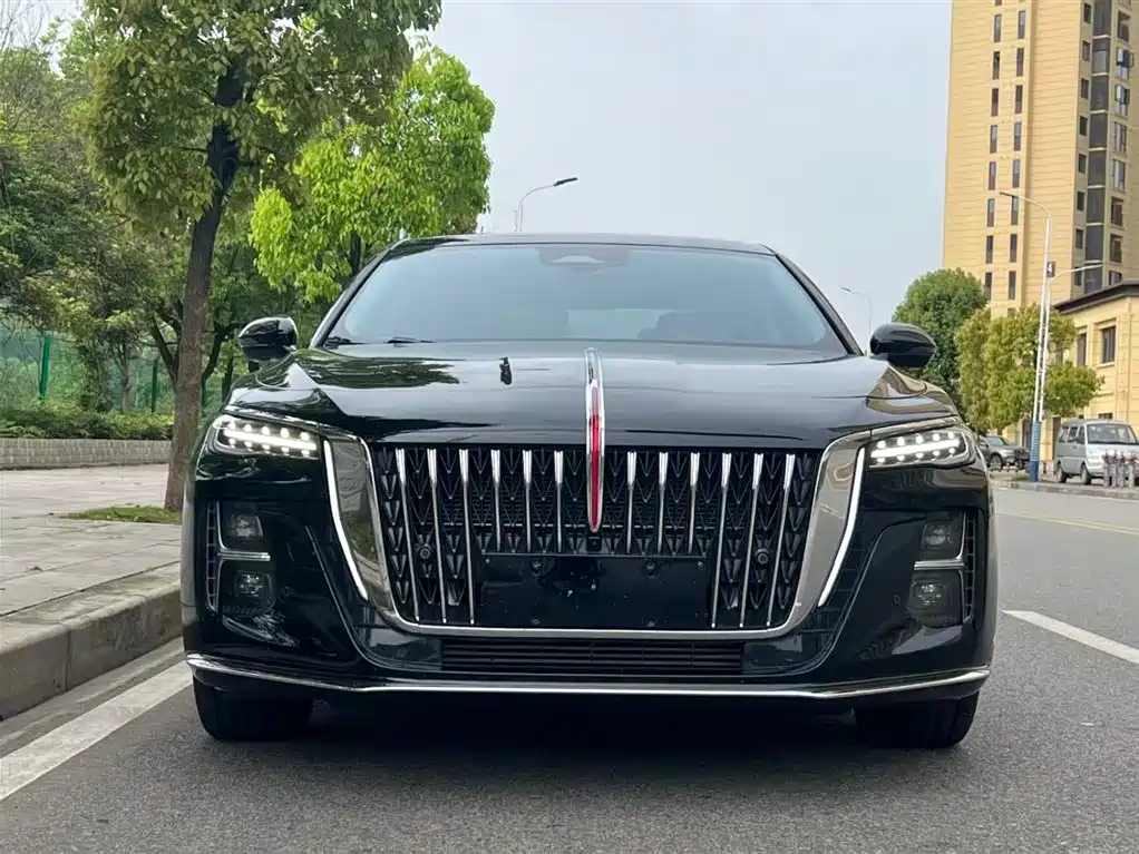 Hongqi H5 2023 2.0T Auto Smart Connect Flag Comfort фото 2