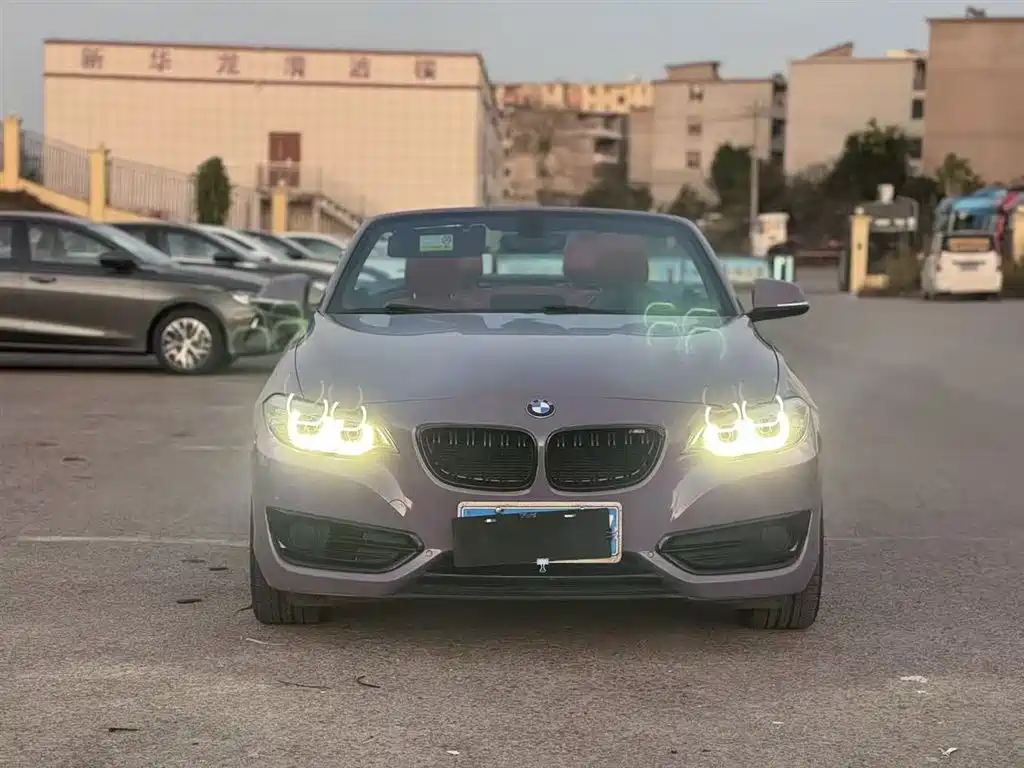 BMW 2 Series (Import) 2018 220i Convertible Coupe Sport Design Package фото 20