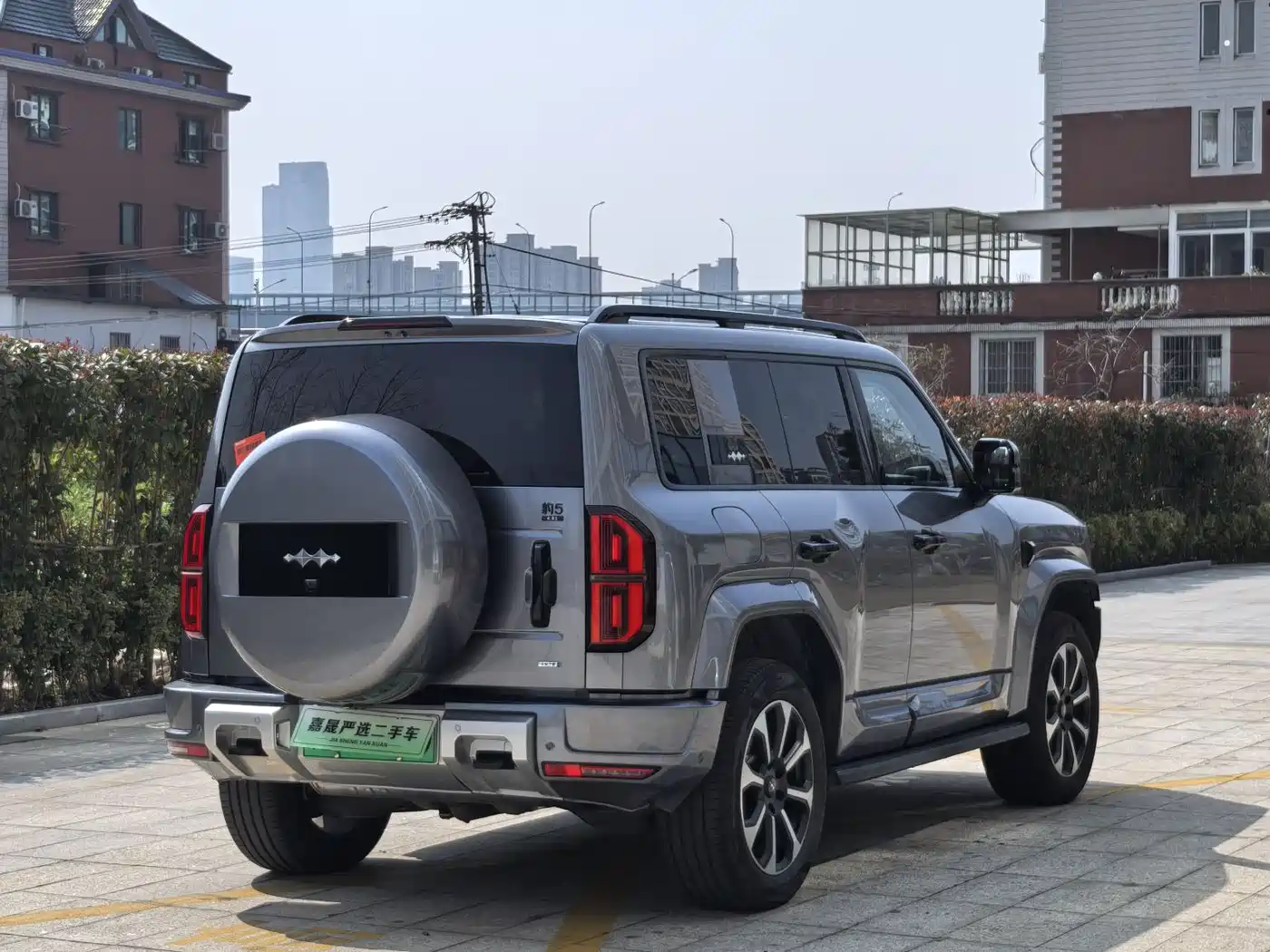 FANG CHENG BAO LEOPARD 5