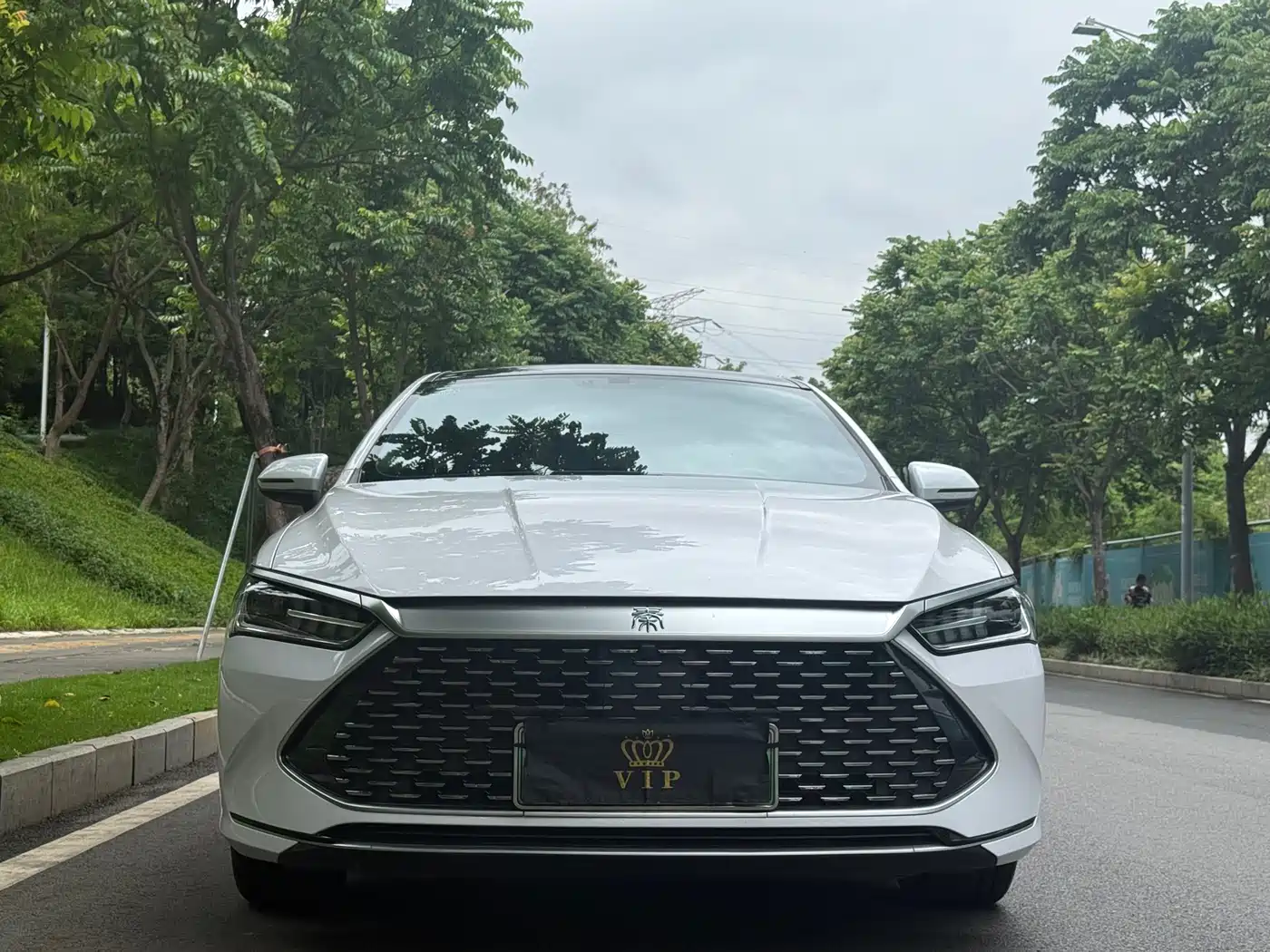 BYD Qin PLUS 2021 DM-i 55KM Flagship фото 2