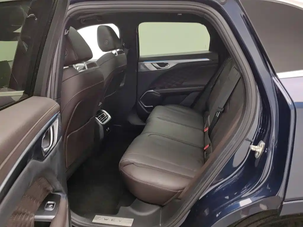 WEY Mocha 2022 2021 2.0T 2WD Extra Rich Edition