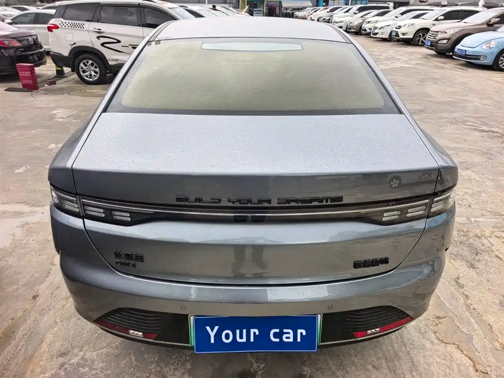 BYD Destroyer 05 2023 Champion Edition DM-i 55KM Luxury фото 5