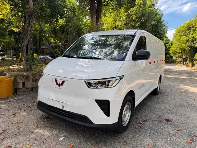  Wuling Motors Wuling Yangguang 2024 230km Utility Enclosed 60kW