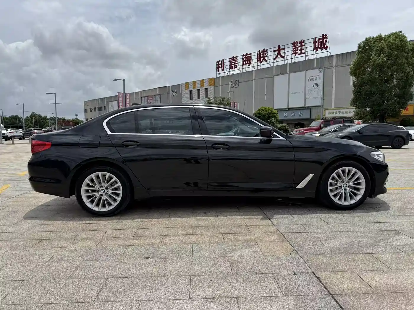 BMW 5 Series 2019 530Li Leading Luxury Package фото 8