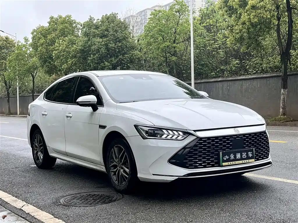 BYD Qin PLUS 2023 Champion Edition DM-i 120KM Excellence фото 3