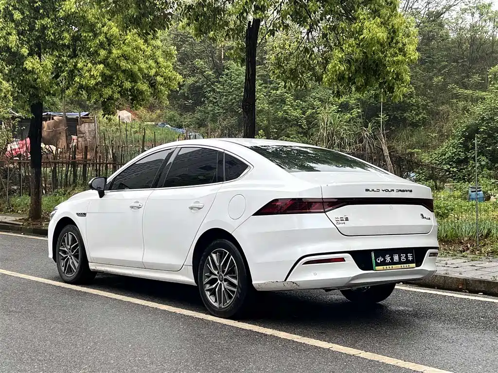 BYD Qin PLUS 2023 Champion Edition DM-i 120KM Excellence фото 10