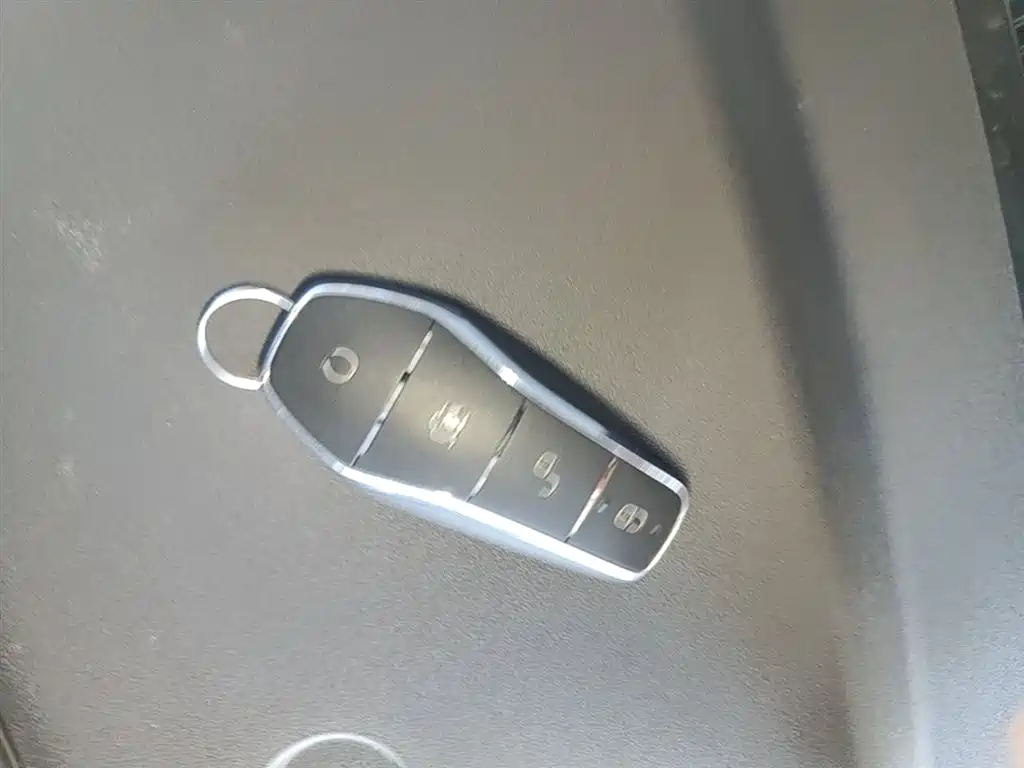 BYD Song L DM-i 2025 Smart Drive 160km Premium фото 9