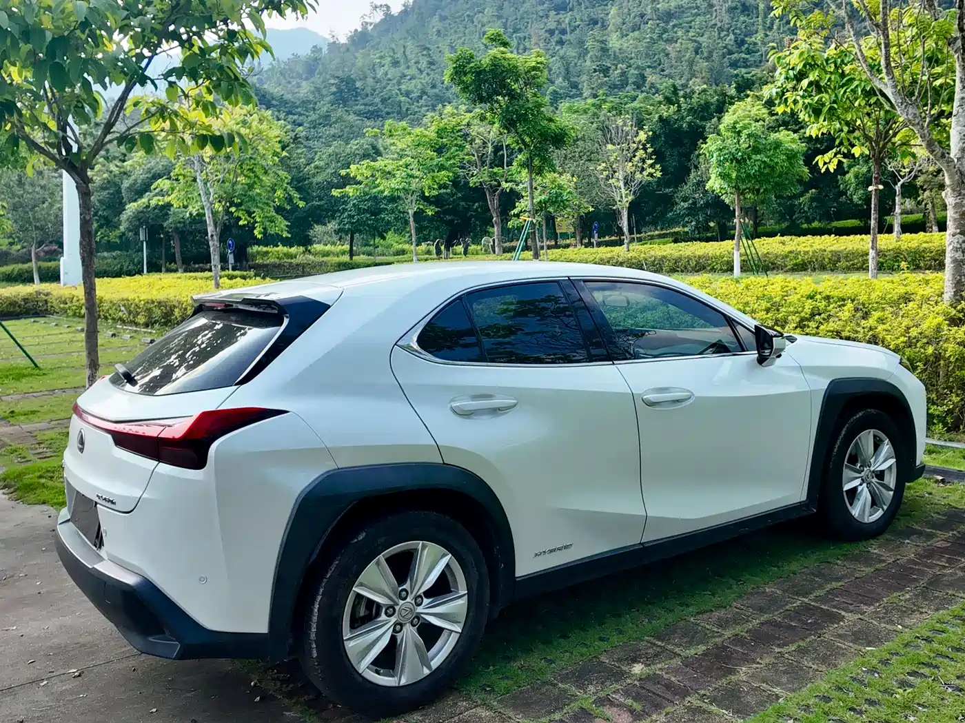 Lexus UX 2019 2019 260h Explorer Cool Edition (China V)