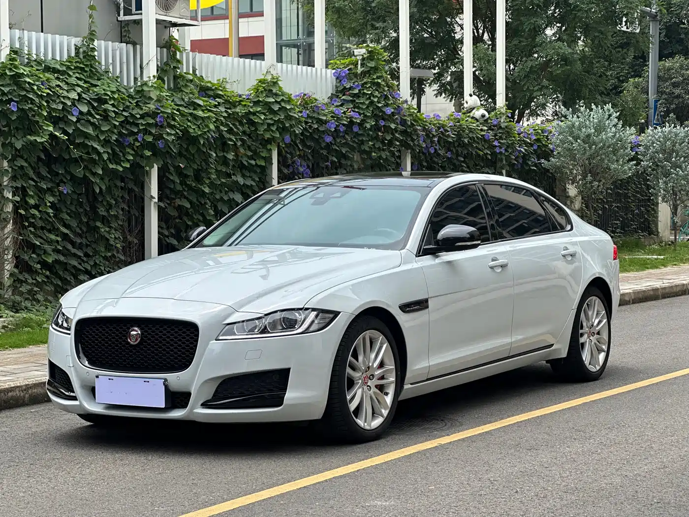 Jaguar XFL 2020 XFL 2.0T P200 2WD Racing Flag Edition