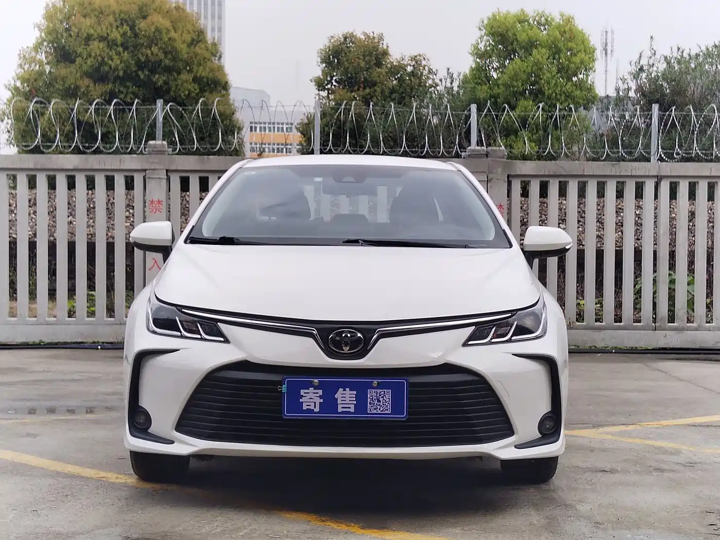 Toyota Corolla 2023 1.2T Pioneer Edition фото 2