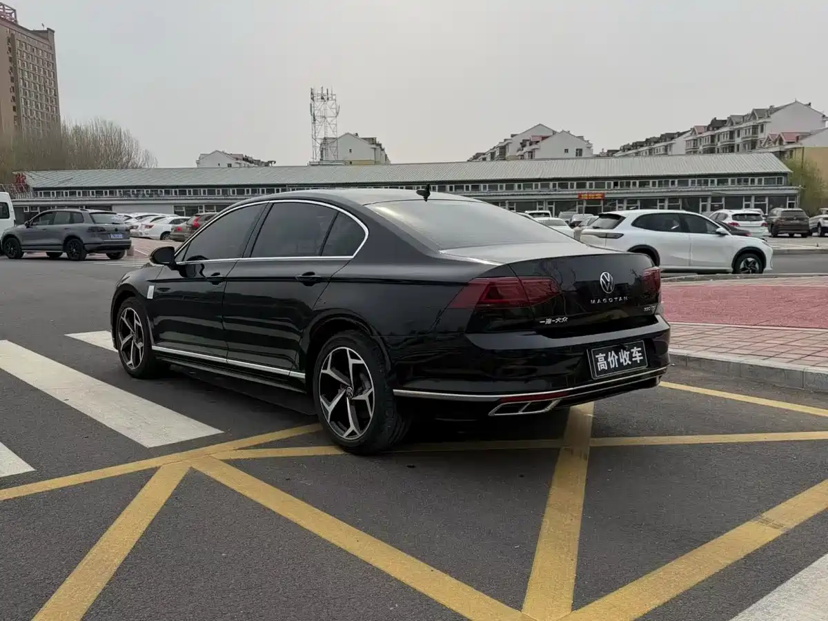Volkswagen Magotan 2025 Facelift Public Edition 330TSI DSG Luxury фото 5
