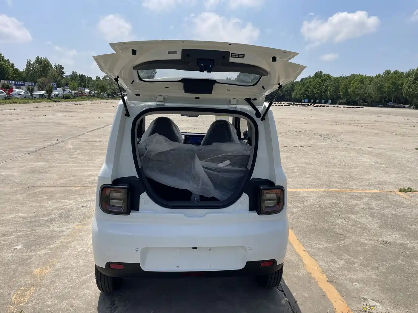 Geely Galaxy Panda 2025 Panda mini 210km Vitality Bear фото 14