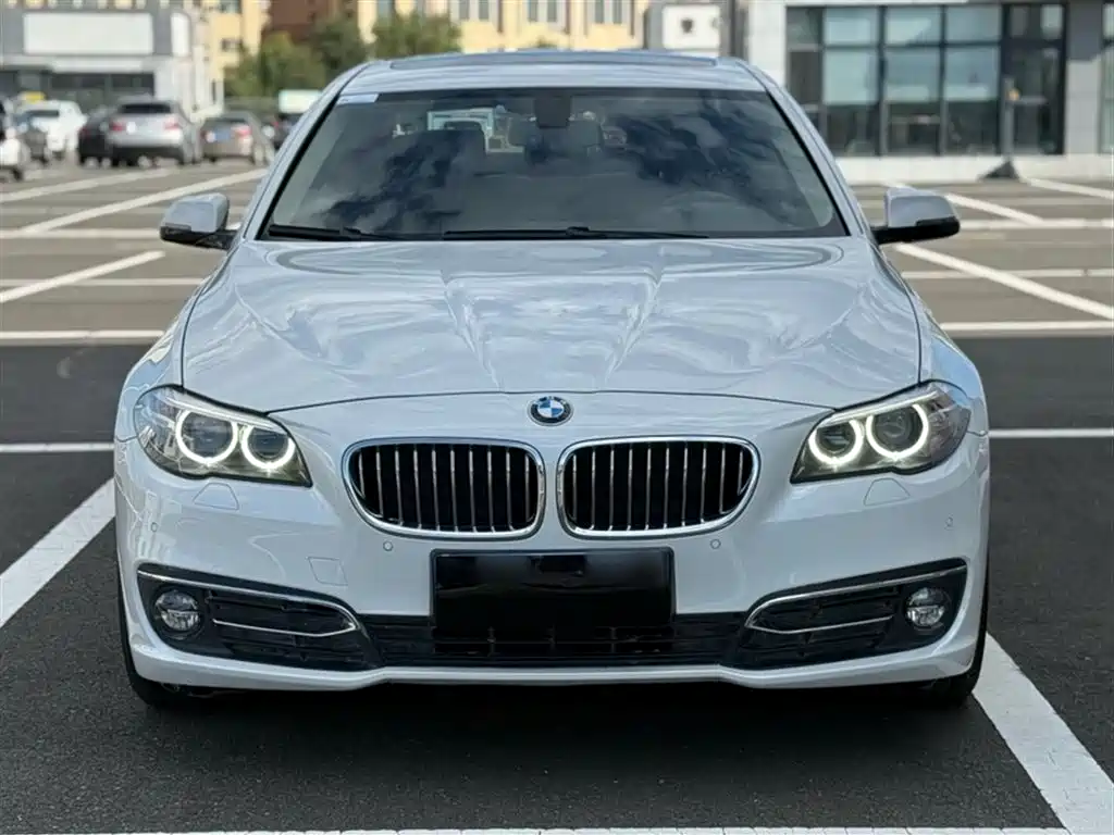 BMW 5 Series 2017 525Li Luxury Design Package фото 3
