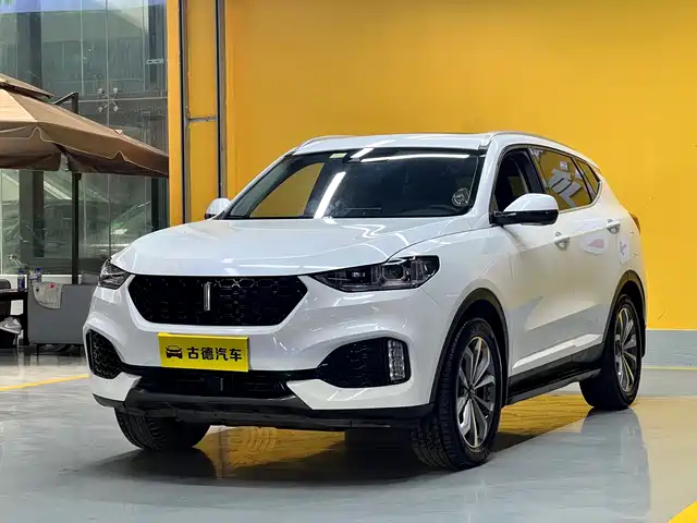  WEY Wey VV6 2018 2.0T 2WD Super Luxury China V