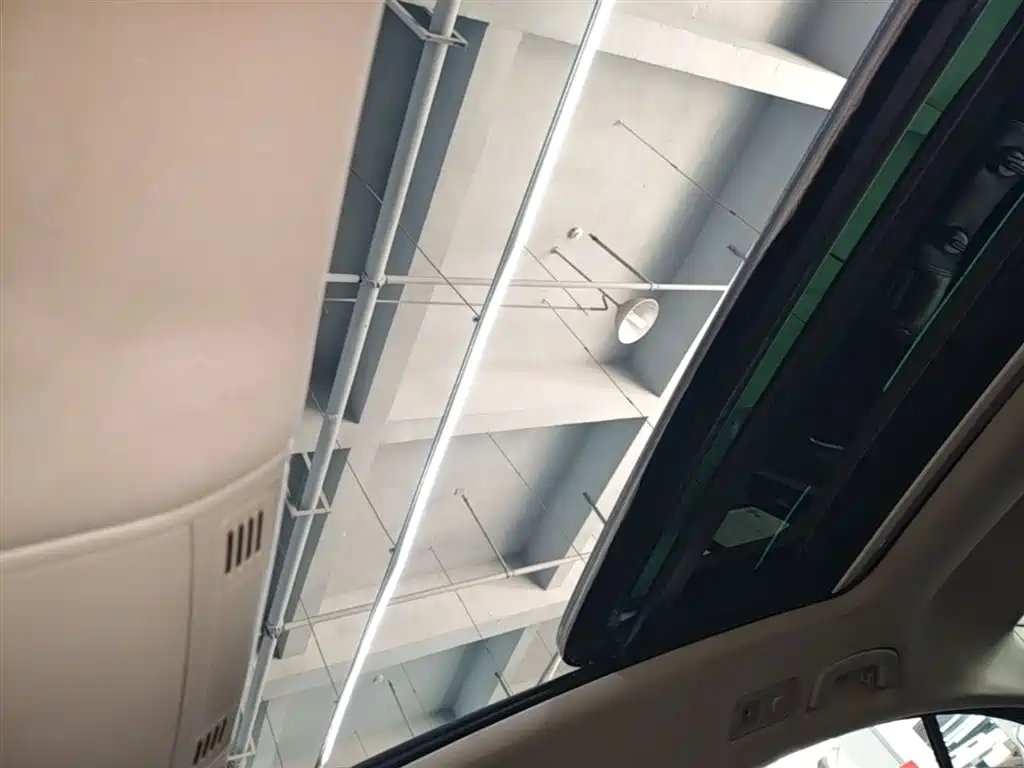Volkswagen Magotan 2019 330TSI DSG Leading China V фото 18