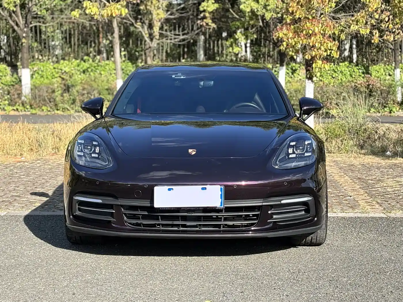 Porsche Panamera 2017 Panamera 4 Executive Long Wheelbase 3.0T фото 2
