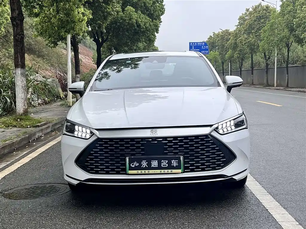 BYD Qin PLUS 2023 Champion Edition DM-i 120KM Excellence фото 2