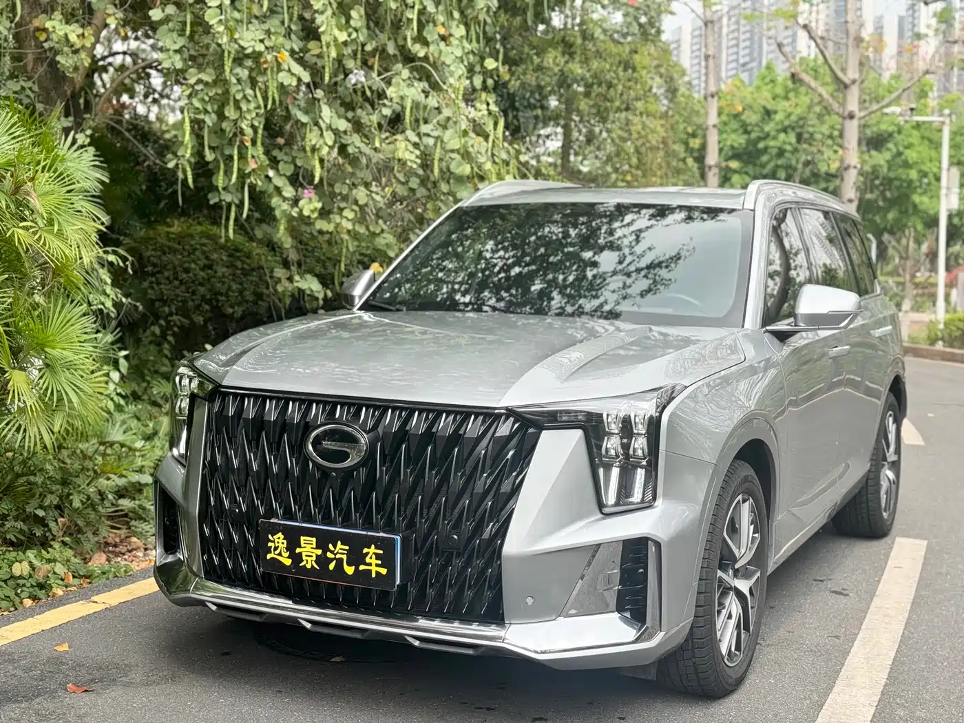 GAC Trumpchi Trumpchi GS8 2024 Dual Engine Series 2.0TM 4WD Premium Edition