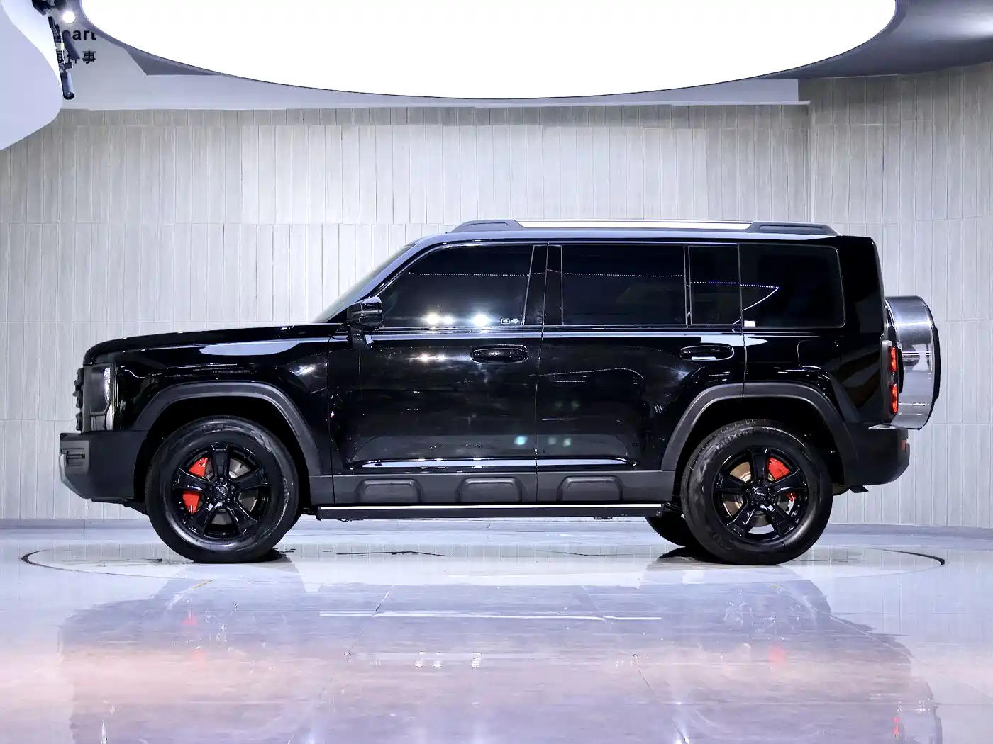 HAVAL RAPTORS NEW ENERGY