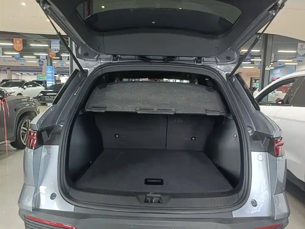 BYD SONGJIANG NEW ENERGY