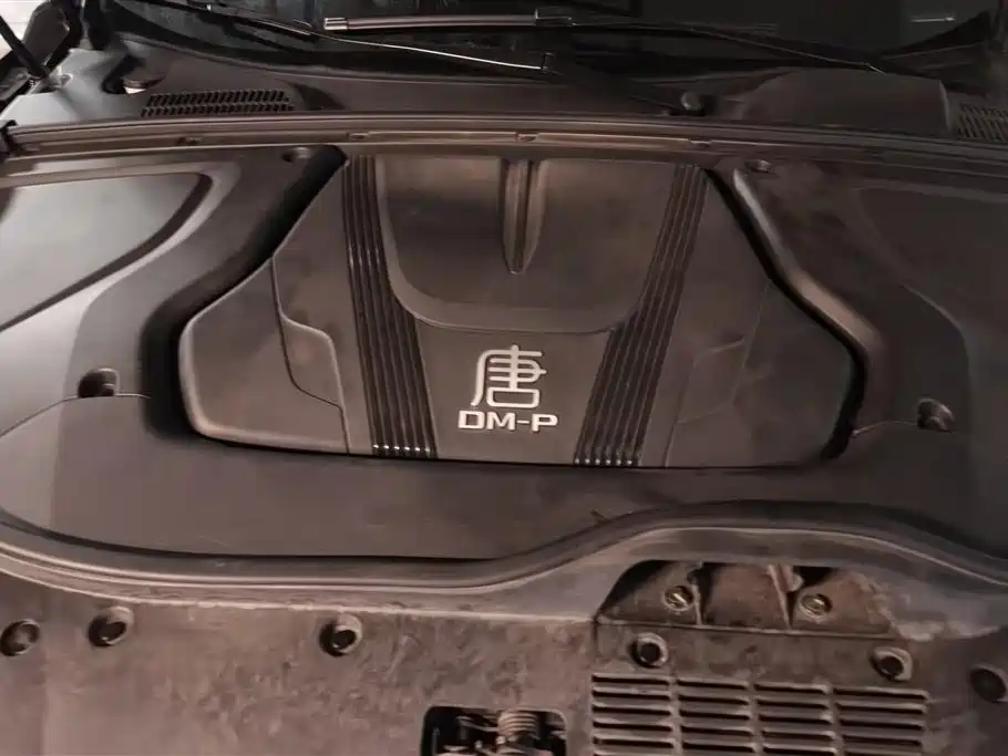 BYD Tang New Energy 2022 DM-p 215KM AWD Flagship фото 10