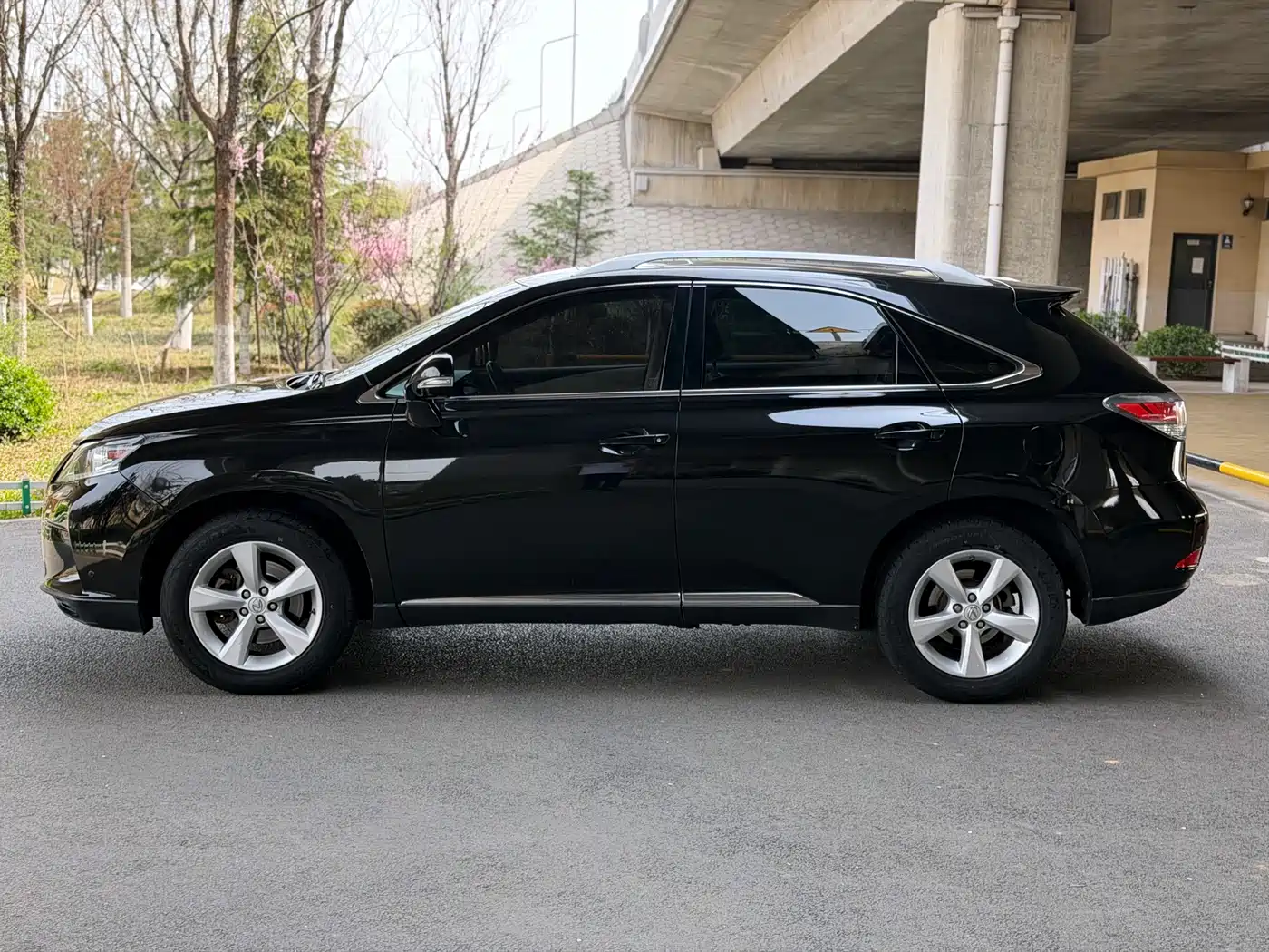 Lexus RX Classic 2014 270 Special Limited Edition фото 8