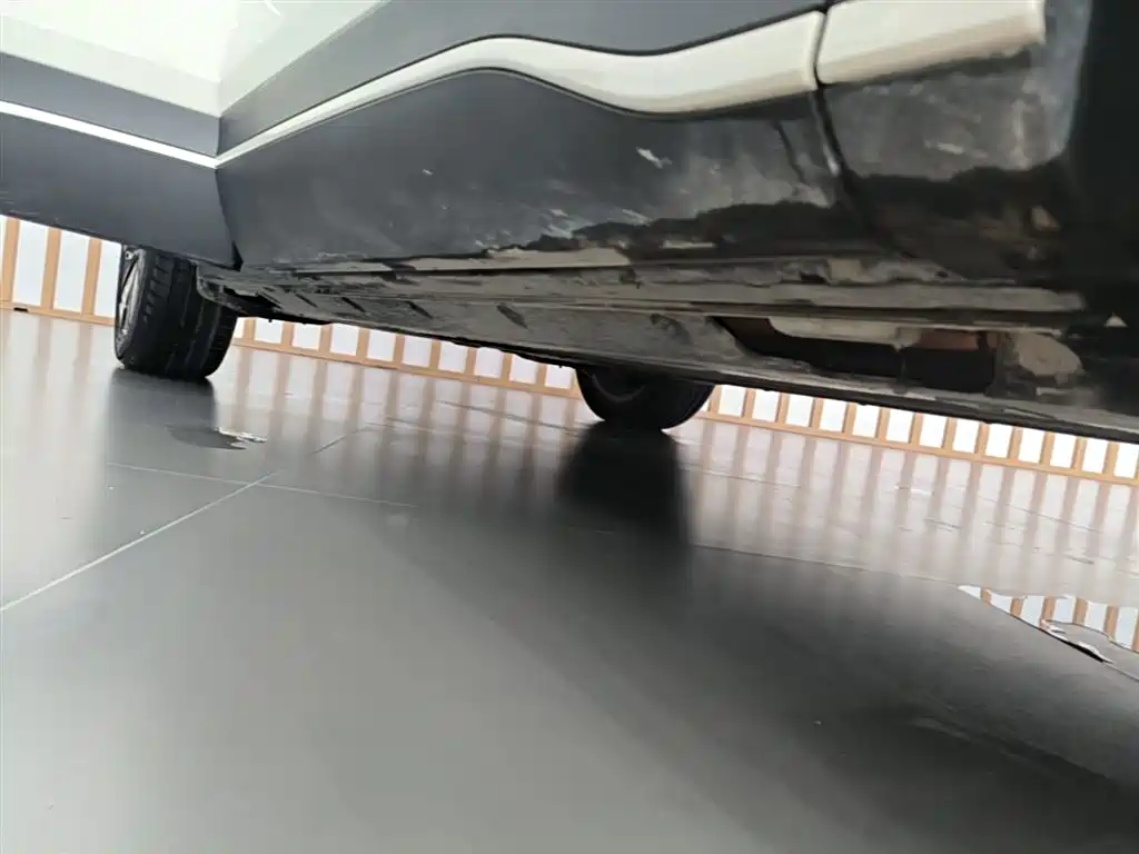 BYD Hai Shi 05 EV 2025 520KM Flagship Smart Navigation Edition фото 21
