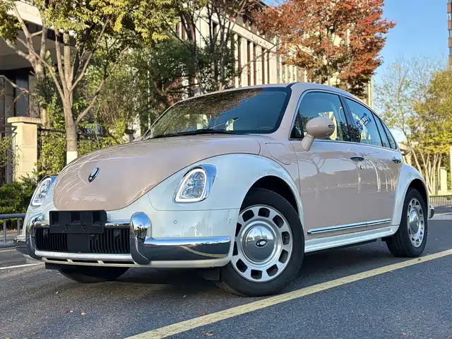  Ora Ora Ballet Cat 2023 401km Premium Model