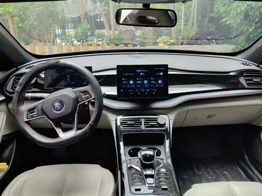 BYD Qin PLUS 2024 Glory Edition DM-i 55KM Leading фото 12